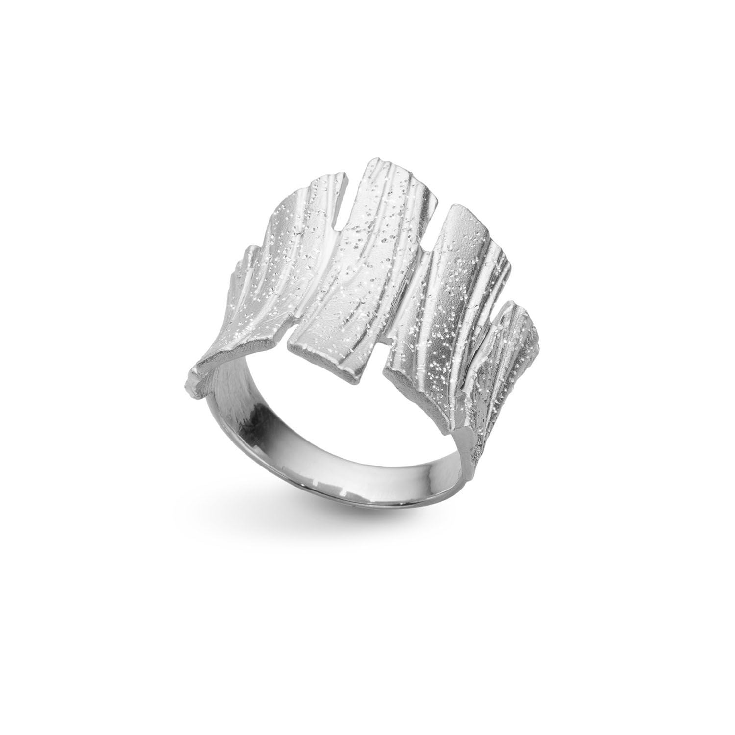 Δαχτυλίδι Terra από επιροδιωμένο ασήμι 925° Εικόνα 1