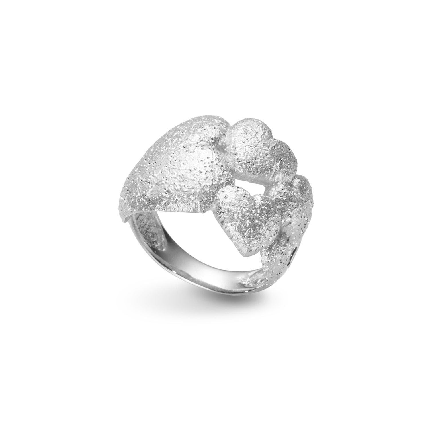 Δαχτυλίδι Terra από επιροδιωμένο ασήμι 925° Εικόνα 1