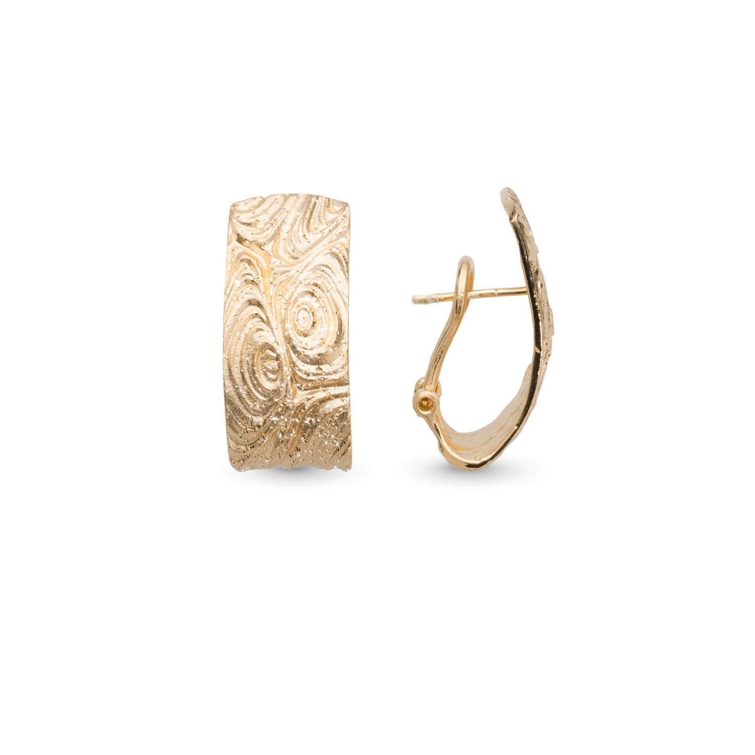 Σκουλαρίκια Terra από ματ επιχρυσωμένο ασήμι 925° Εικόνα 1