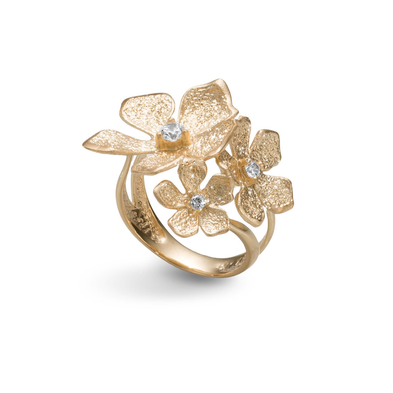 Δαχτυλίδι Terra από επιχρυσωμένο ασήμι 925° με ζιργκόν Εικόνα 1