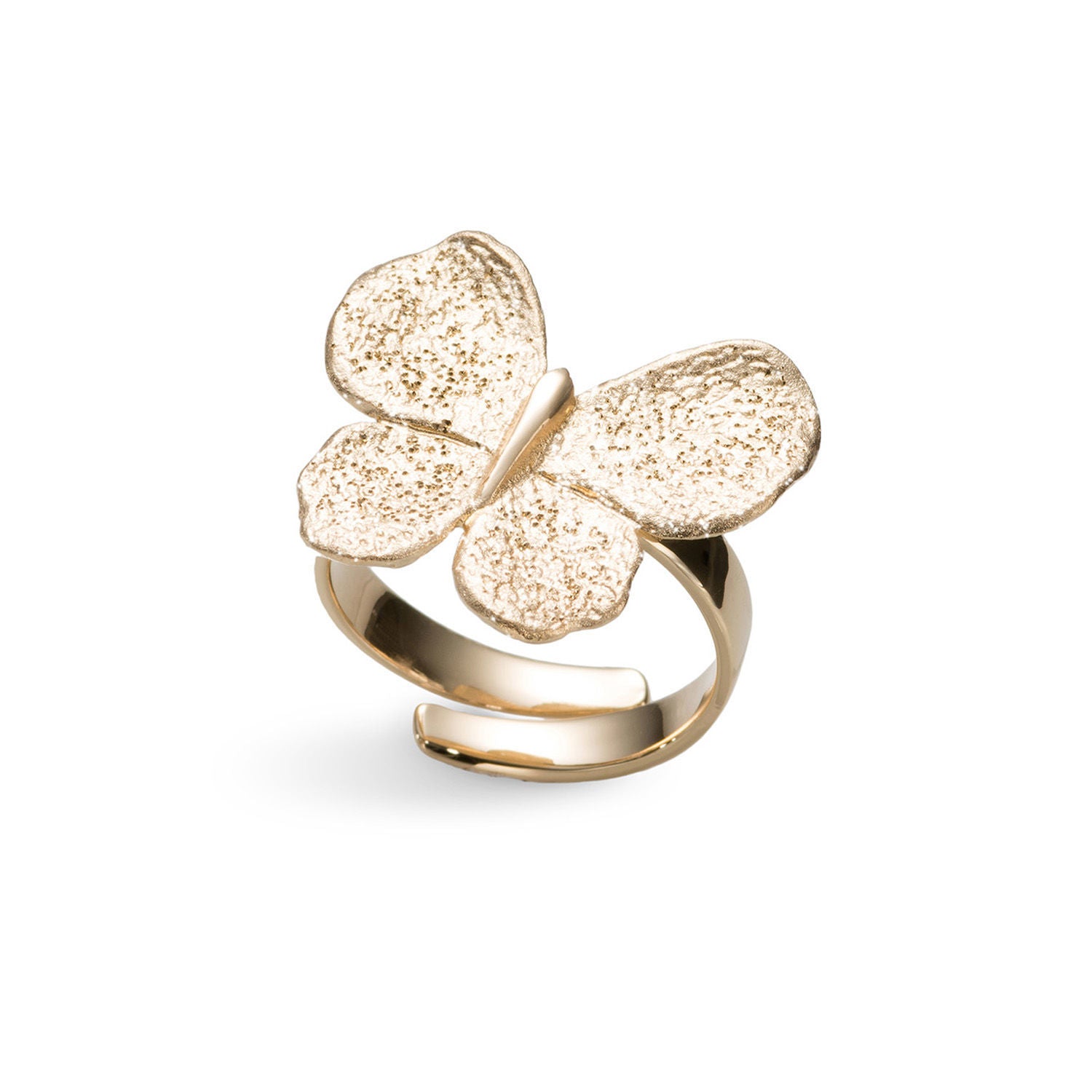 Δαχτυλίδι Terra από επιχρυσωμένο ασήμι 925° Εικόνα 1