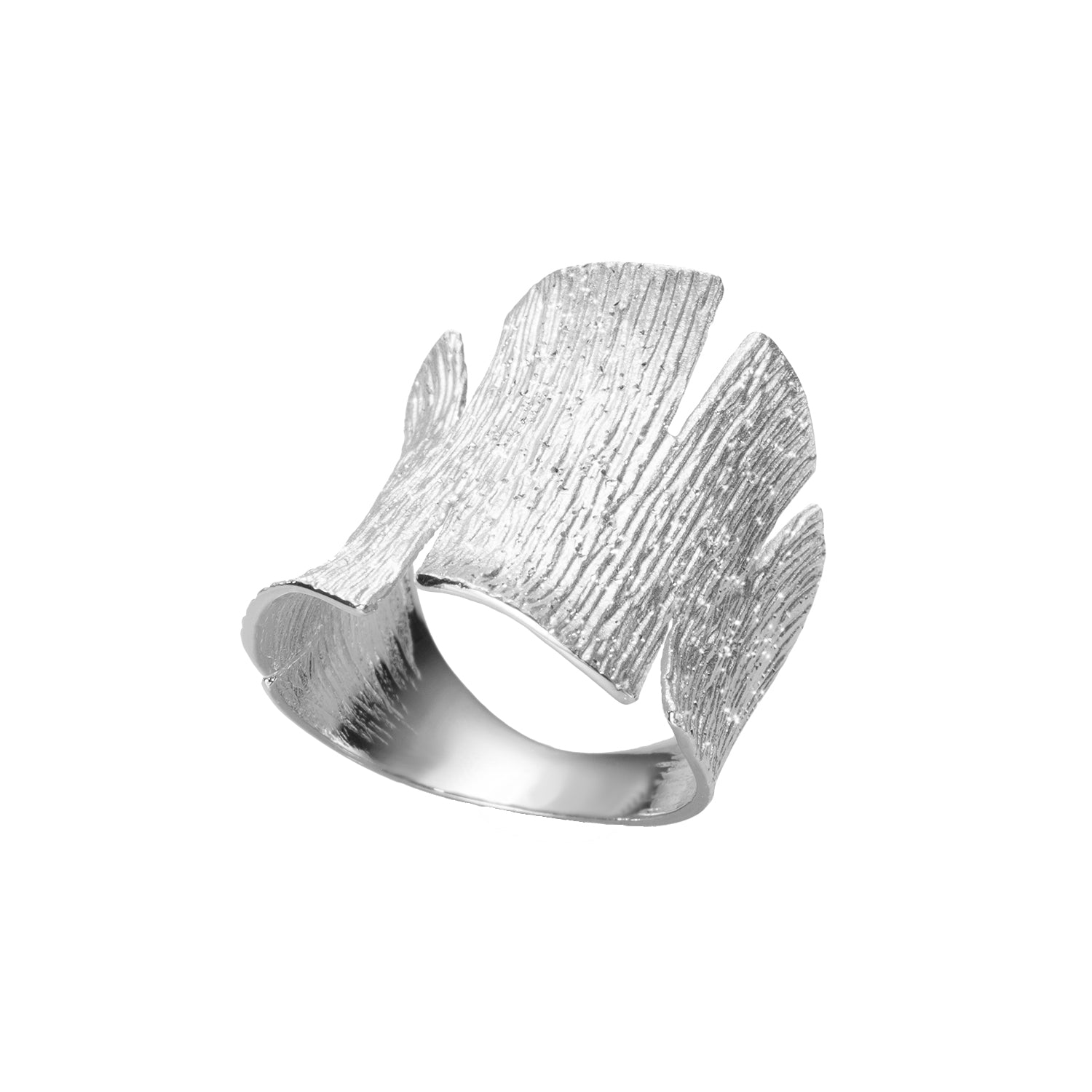 Δαχτυλίδι Terra από επιροδιωμένο ασήμι 925° Εικόνα 1