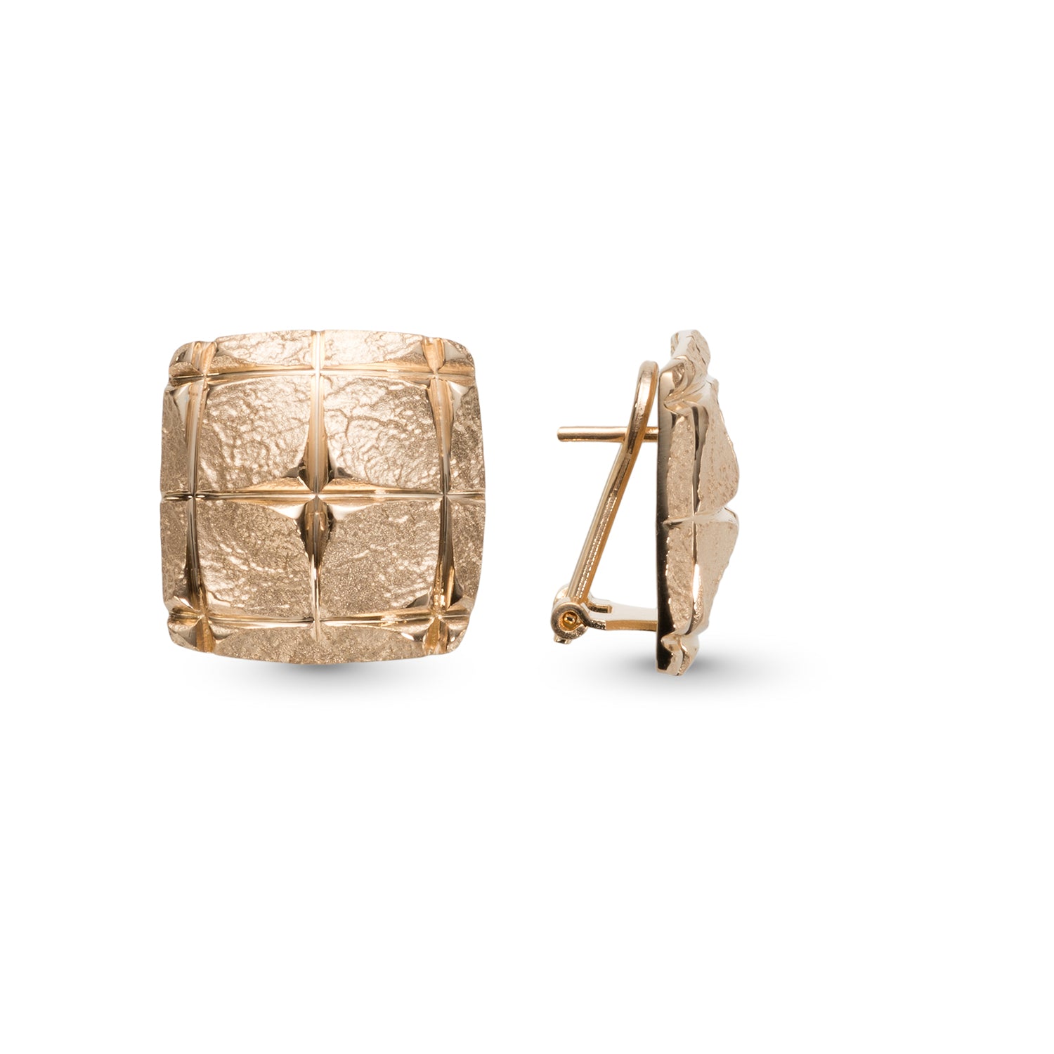 Σκουλαρίκια Terra από επιχρυσωμένο ασήμι 925° Εικόνα 2